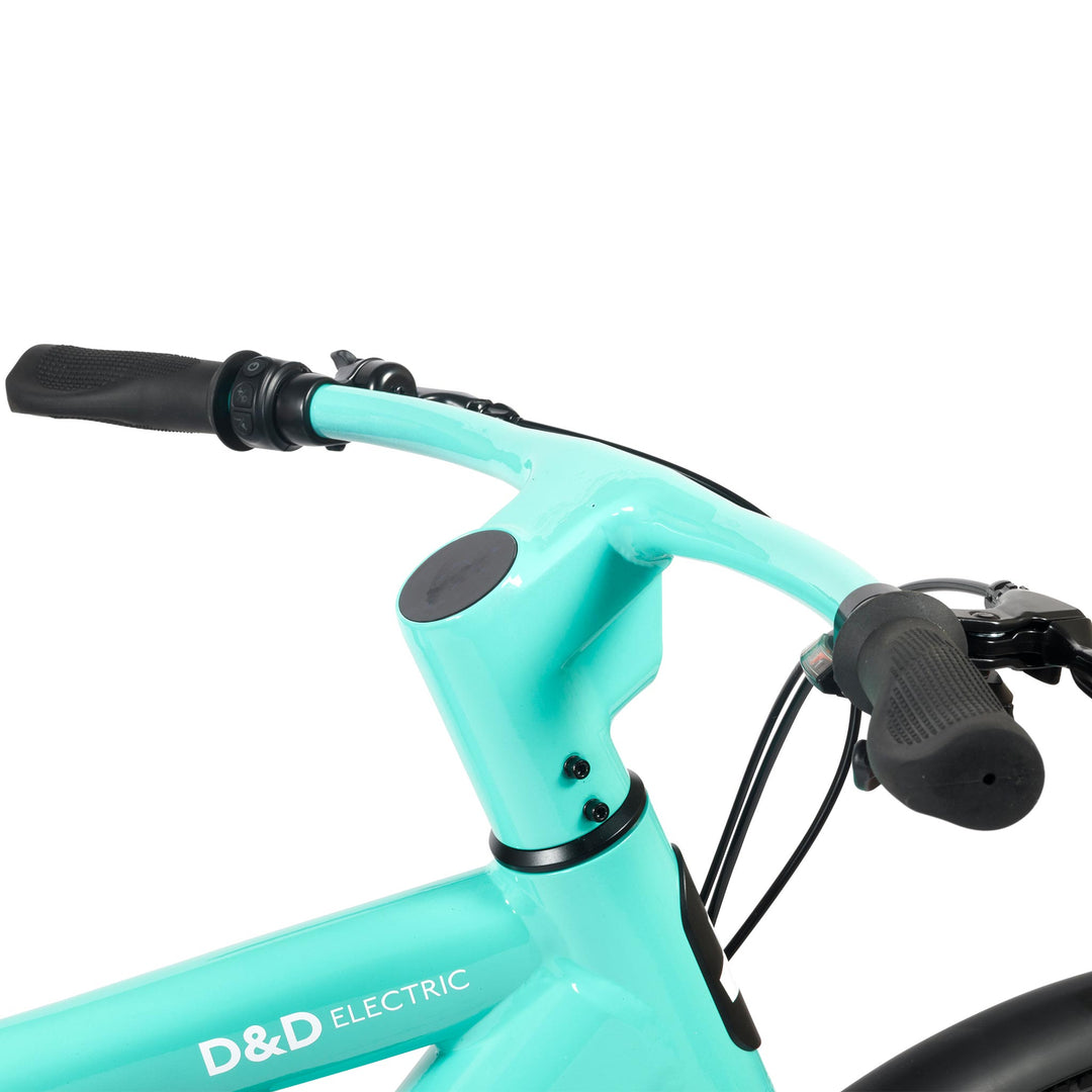 DELIVEROO CARGO E-BIKE