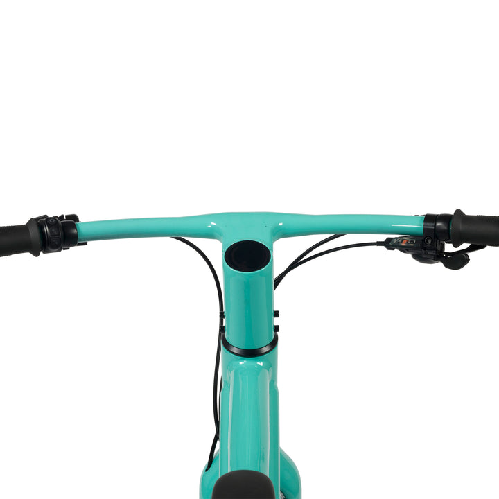 DELIVEROO CARGO E-BIKE